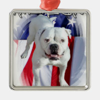 Amerikanbulldogg