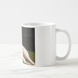 amerikanbulldogg kaffemugg