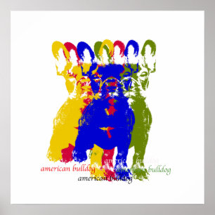 Amerikanbulldoggaffisch Poster