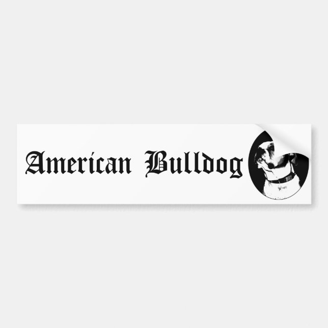 Amerikanbulldoggbildekal Bildekal (Framsidan)