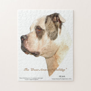 Amerikanbulldoggen profilerar pussel