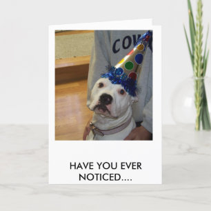 amerikanbulldoggfödelsedag kort