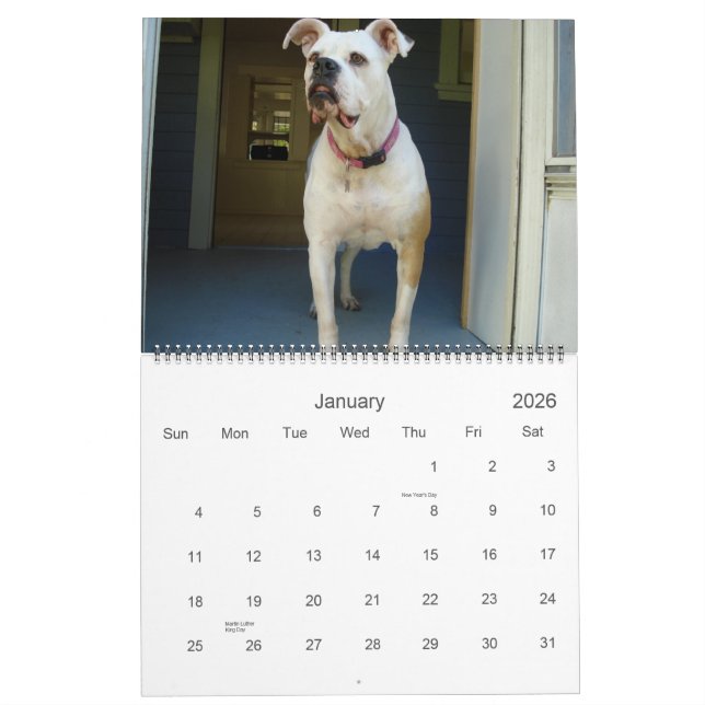 Amerikanbulldoggkalender 2010 kalender (Jan 2026)