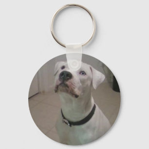 Amerikanbulldoggkeychain Nyckelring