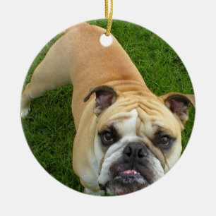 Amerikanbulldoggprydnad Julgransprydnad Keramik