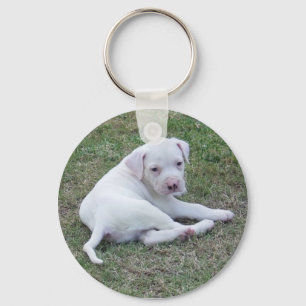 Amerikanbulldoggvalp Nyckelring