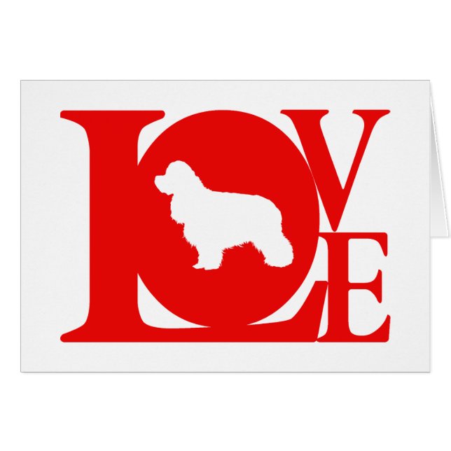 AmerikancockerspanielSpaniel Hälsningskort (Framsidan Horizontal)