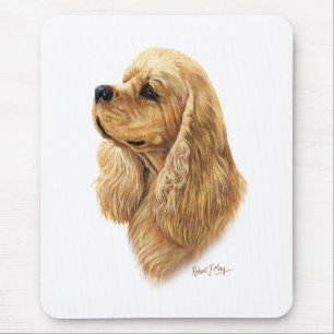 AmerikancockerspanielSpaniel Musmatta