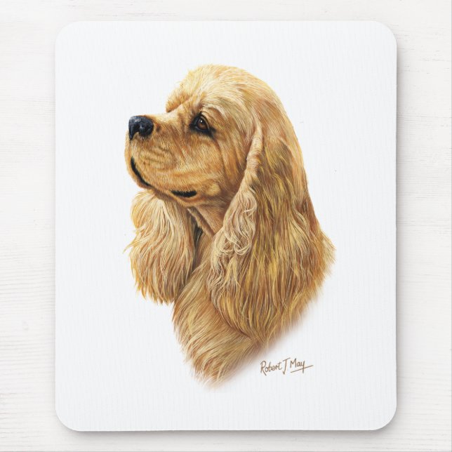 AmerikancockerspanielSpaniel Musmatta (Framsidan)