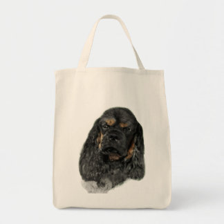 AmerikancockerspanielSpaniel Tygkasse