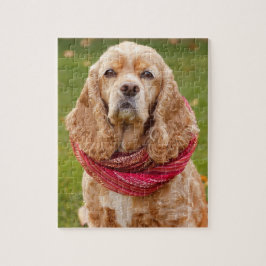 AmerikancockerspanielSpaniel utomhus på höstdag Pussel