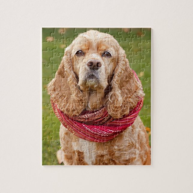 AmerikancockerspanielSpaniel utomhus på höstdag Pussel (Vertikal)