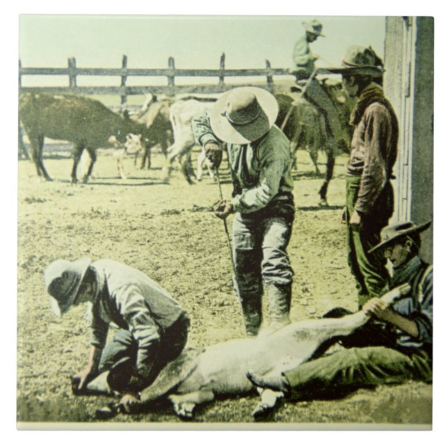 Amerikancowboys som brännmärker en kalv, c.1900 kakelplatta (Framsidan)