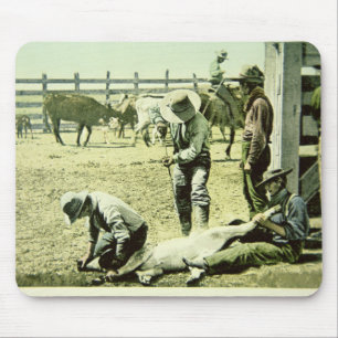 Amerikancowboys som brännmärker en kalv, c.1900 musmatta