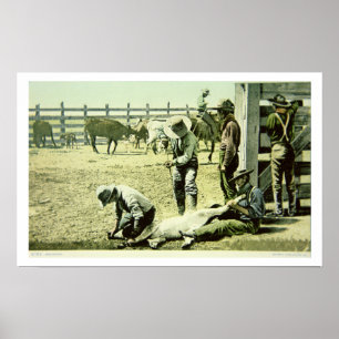 Amerikancowboys som brännmärker en kalv, c.1900 poster