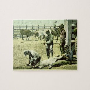 Amerikancowboys som brännmärker en kalv, c.1900 pussel