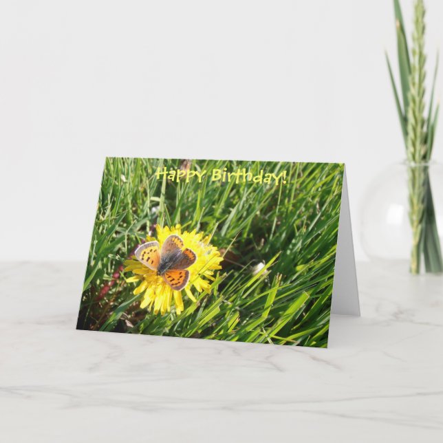 Amerikanen förkopprar det fjärils"grattis på kort (Framsida)