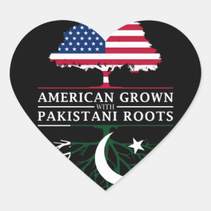 Amerikanen som är fullvuxen med pakistanier, rota hjärtformat klistermärke