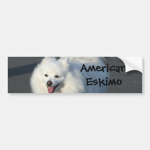 Amerikaneskimå Bildekal