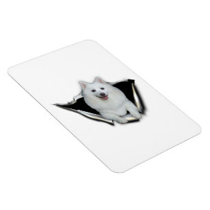 Amerikaneskimåälskare Magnet