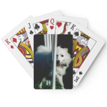 Amerikaneskimåen (Eskie) som in väver, skuggar