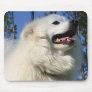 Amerikaneskimåhund Mousepad Musmatta