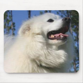 Amerikaneskimåhund Mousepad Musmatta