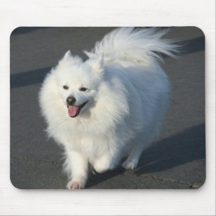 Amerikaneskimåmousepad Musmatta