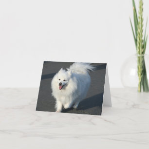 Amerikaneskimånotecard Kort