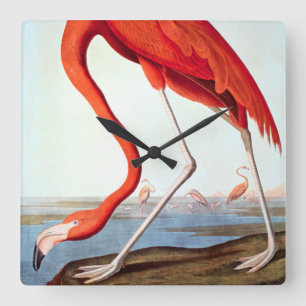 AmerikanFlamingo Fyrkantig Klocka
