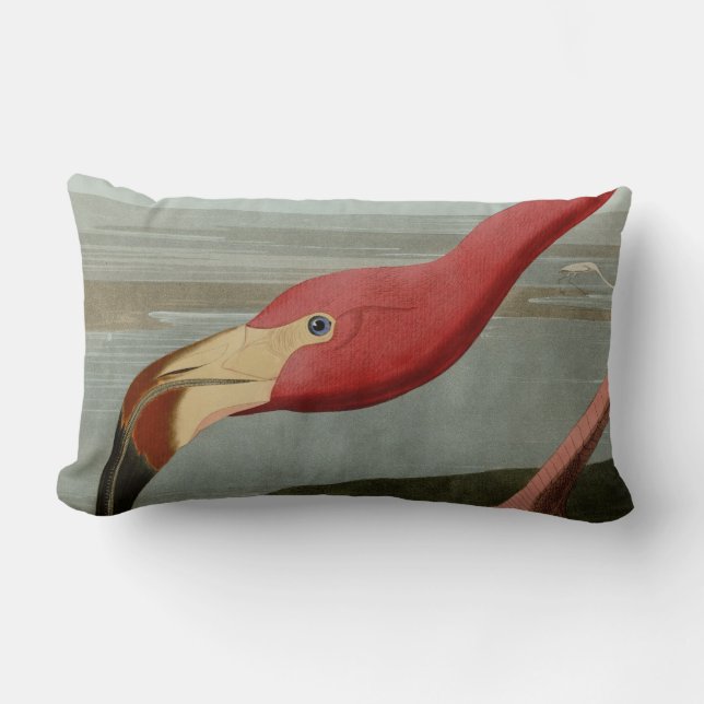 AmerikanFlamingo Lumbarkudde (Framsida)