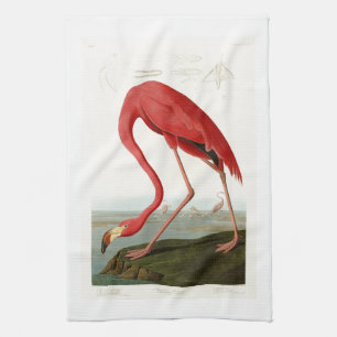 AmerikanFlamingoJohn Audubon fåglar av Amerika Kökshandduk