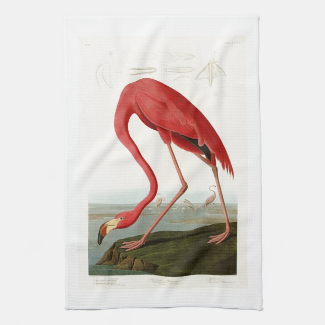 AmerikanFlamingoJohn Audubon fåglar av Amerika Kökshandduk (Vertikal)