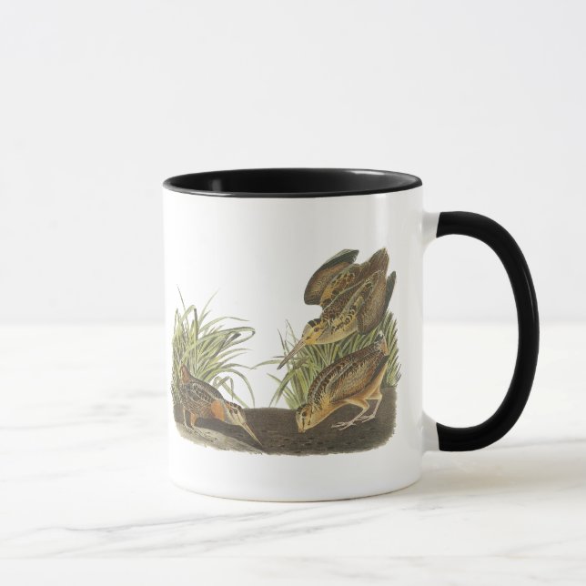 Amerikanmorkulla, John Audubon tryck Mugg (Höger)