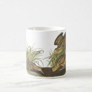 Amerikanmorkulla vid Audubon Kaffemugg