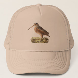 Amerikanmorkullan (den Rusticola minderårigen) Keps