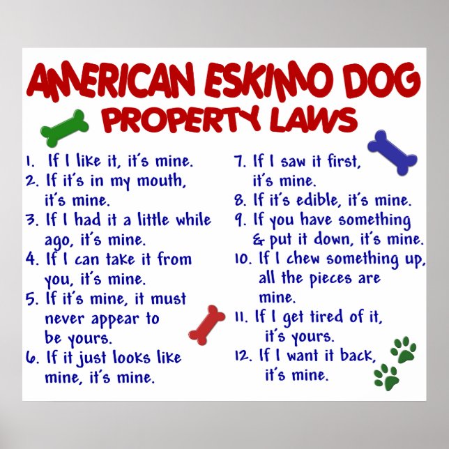 AMERIKANN ESKIMO HUND PL2 POSTER (Framsidan)