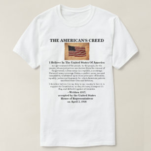 AMERIKANN HAR SKAPAT T SHIRT