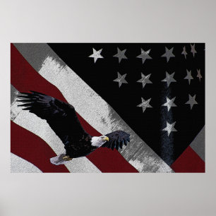 Amerikanörn 36 x 24 affisch
