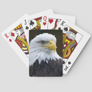 Amerikanörn Casinokort