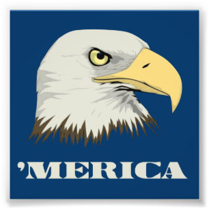 Amerikanörn för Merica Fototryck
