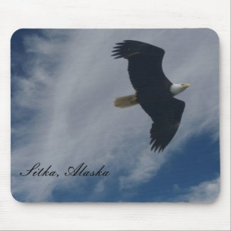 Amerikanörn i Sitka, Alaska Musmatta
