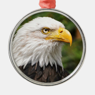 Amerikanörn Julgransprydnad Metall