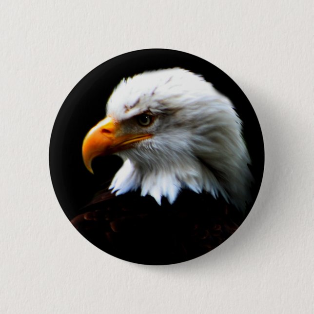 AMERIKANÖRN KNAPP (Framsida)
