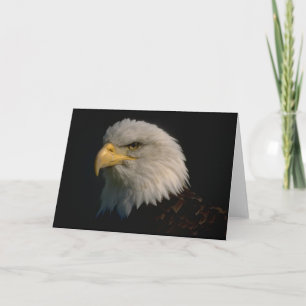Amerikanörn Kort