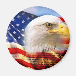 AMERIKANÖRN MAGNET