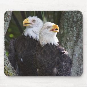 Amerikanörn Mousepad Musmatta