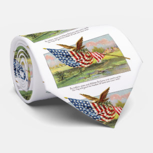 Amerikanörn och flagga slips