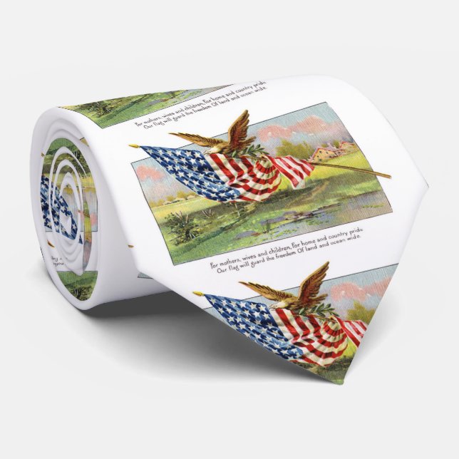 Amerikanörn och flagga slips (Rullad)