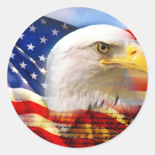 AMERIKANÖRN RUNT KLISTERMÄRKE